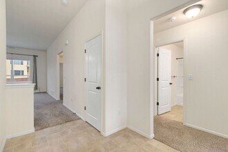 2110 Peach Blossom Dr in Windsor, CO - Building Photo - Building Photo