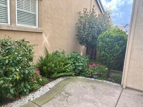 4996 Madamin Way in Sacramento, CA - Building Photo - Building Photo