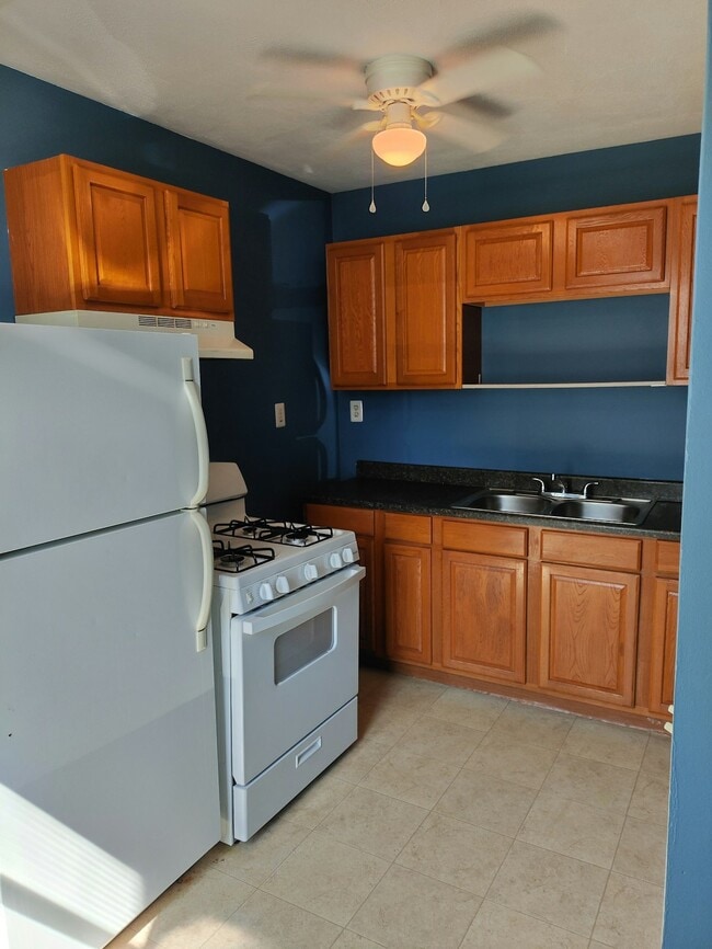 104 S Tecumseh St in Adrian, MI - Building Photo - Building Photo