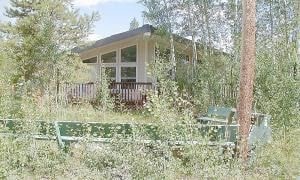 303 Co Rd 445 in Grand Lake, CO - Building Photo - Building Photo
