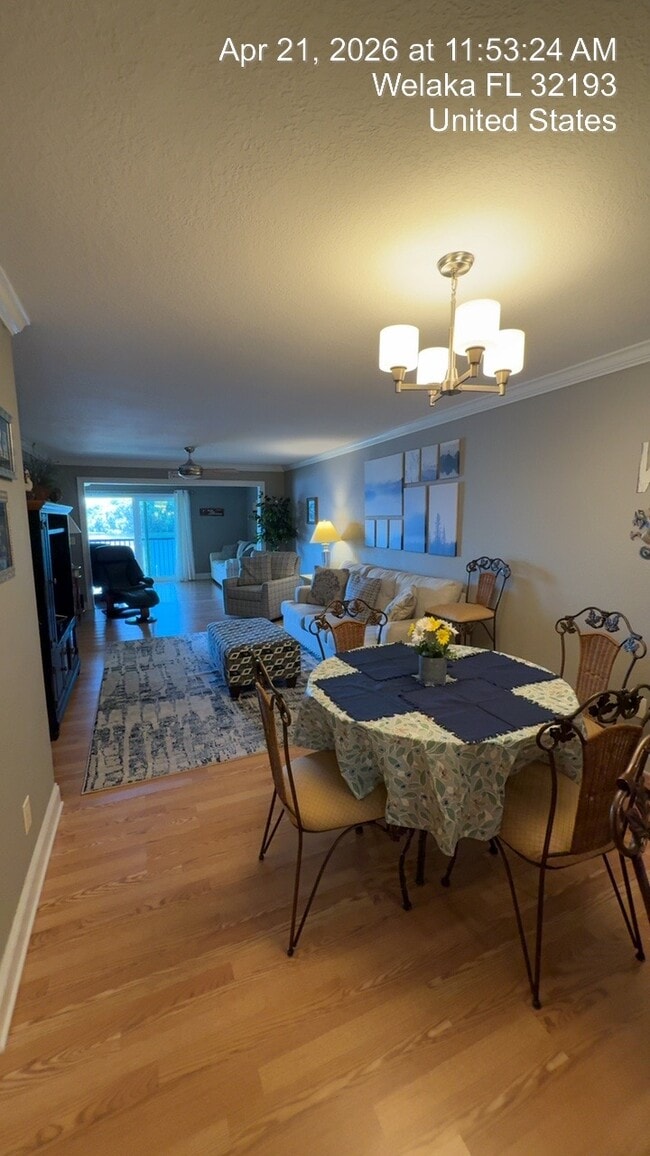 99 Broad River Pl in Welaka, FL - Building Photo - Building Photo