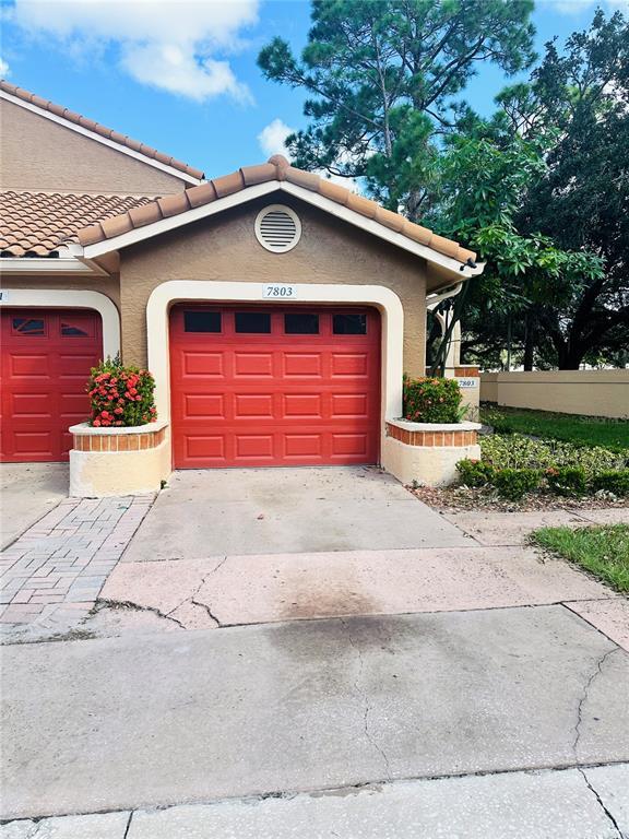 7803 Sugar Brook Ct in Orlando, FL - Building Photo - Building Photo