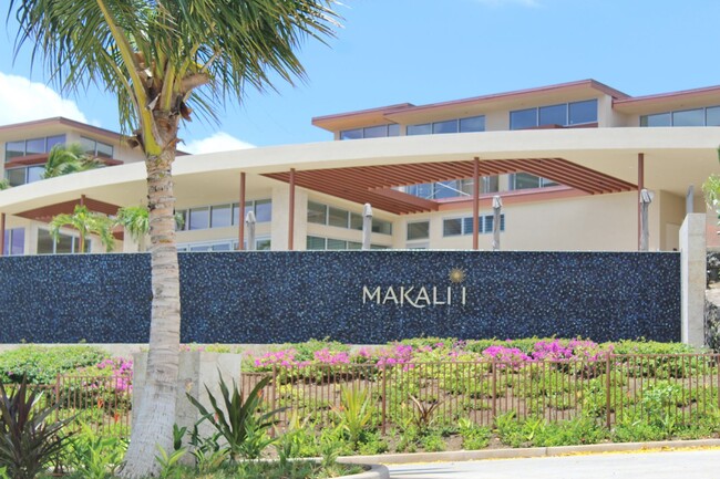 173 Holokahiki Ln in Kihei, HI - Building Photo - Building Photo