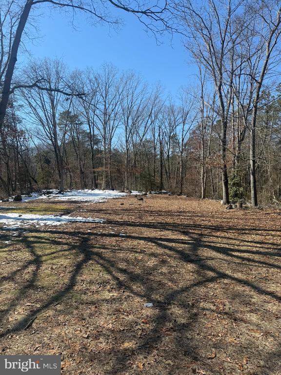 111 Watsons Mill Rd in Elmer, NJ - Building Photo - Building Photo