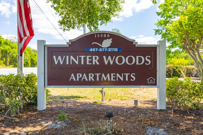 Winterwoods