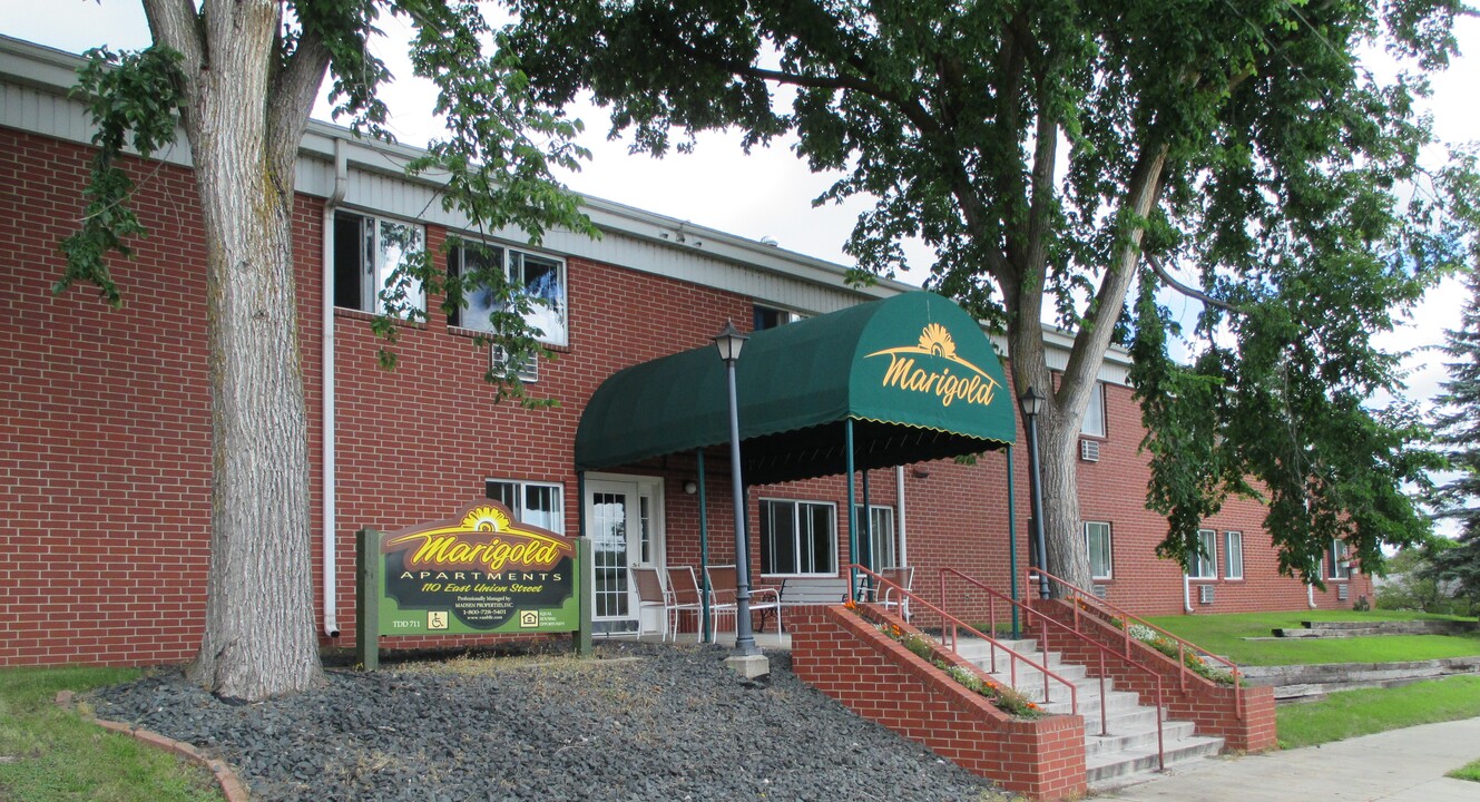 Marigold Apartments in Detroit Lakes, MN - Building Photo