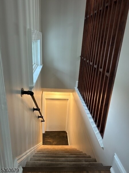 56 S Mountain Ave in Cedar Grove, NJ - Building Photo - Building Photo