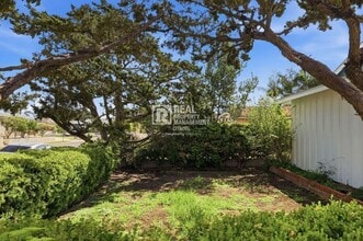 726 Primrose Ave in Placentia, CA - Building Photo - Building Photo