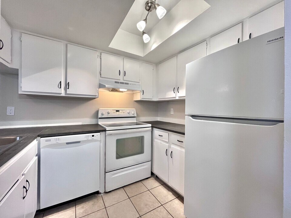 Inertio Apartments in Tampa, FL - Building Photo