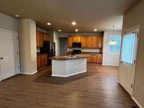 3032 Hackney Ln in Fort Collins, CO - Building Photo - Building Photo