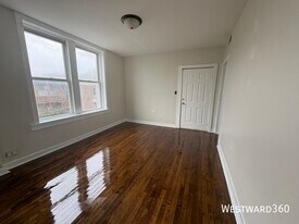 1141 S Francisco Ave in Chicago, IL - Building Photo