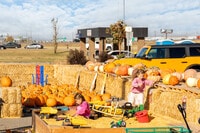 Apartments in West Fargo, ND