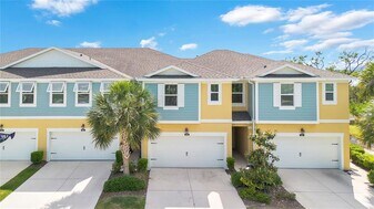 9009 Palm Key Ave in Oldsmar, FL - Building Photo