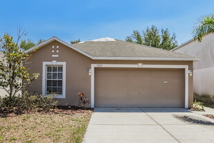 1037 Brenton Leaf Dr in Ruskin, FL - Building Photo