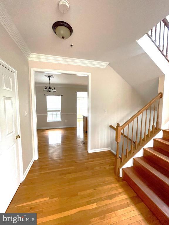 6101 Newport Terrace in Frederick, MD - Building Photo - Building Photo