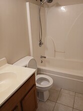 319 E Mill St in Carbondale, IL - Building Photo - Building Photo