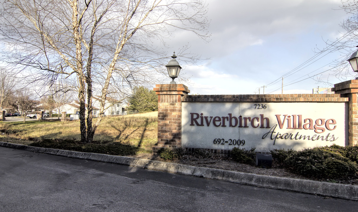 Riverbirch Village Apartments in Knoxville, TN - Building Photo