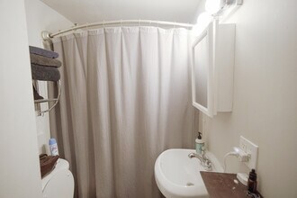 1077 N Paulina St in Chicago, IL - Building Photo - Building Photo