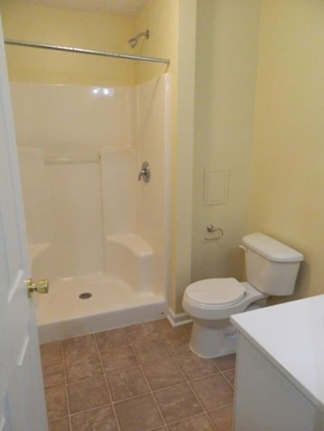 1076 Blue Ridge View Cir in Forest, VA - Building Photo - Building Photo