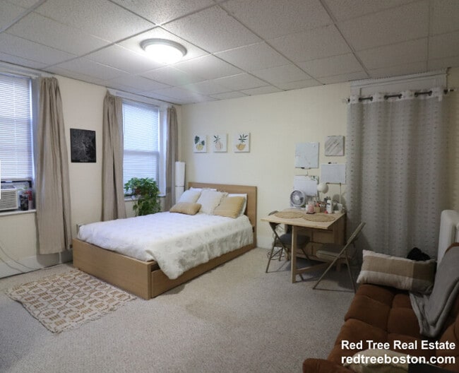 238 Hemenway St, Unit 18 in Boston, MA - Foto de edificio - Building Photo