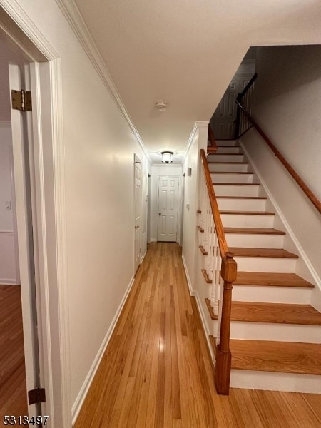 35 Symor Dr in Morristown, NJ - Building Photo - Building Photo