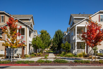 Radius in Mountain View, CA - Building Photo - Building Photo