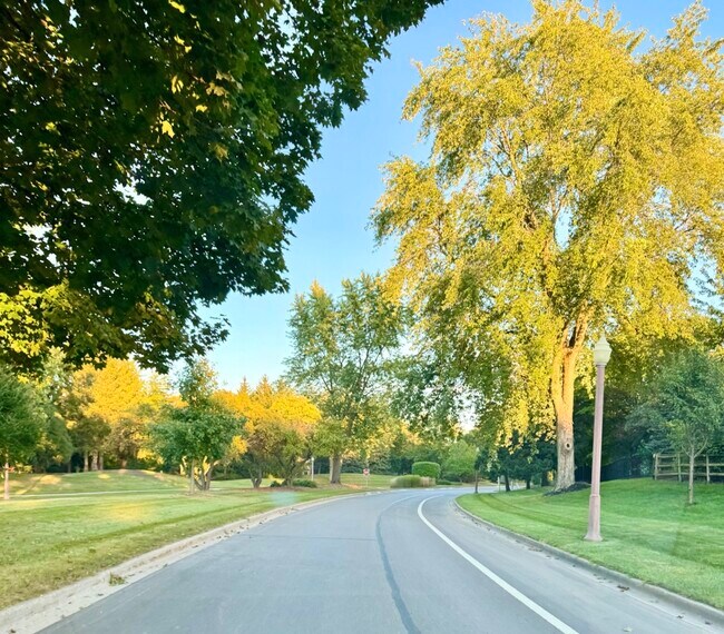 61 Southgate Course in St. Charles, IL - Building Photo - Building Photo