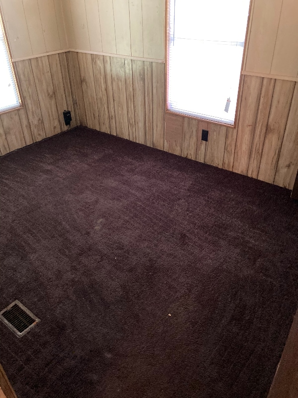 20504 Spanish Ln in Land O Lakes, FL - Foto de edificio - Building Photo