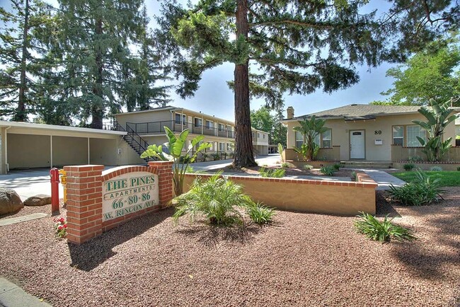 The Pines Apartments in Campbell, CA - Foto de edificio - Building Photo