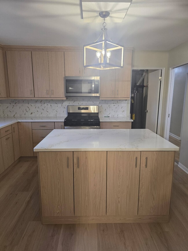 4116 W 109th St, Unit 1 in Oak Lawn, IL - Foto de edificio - Building Photo