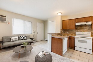 1245 Corona Street in Denver, CO - Building Photo