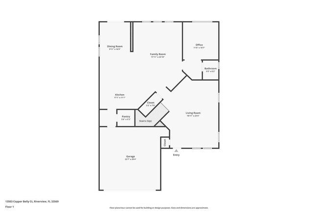 13503 Copper Belly Ct in Riverview, FL - Foto de edificio - Building Photo