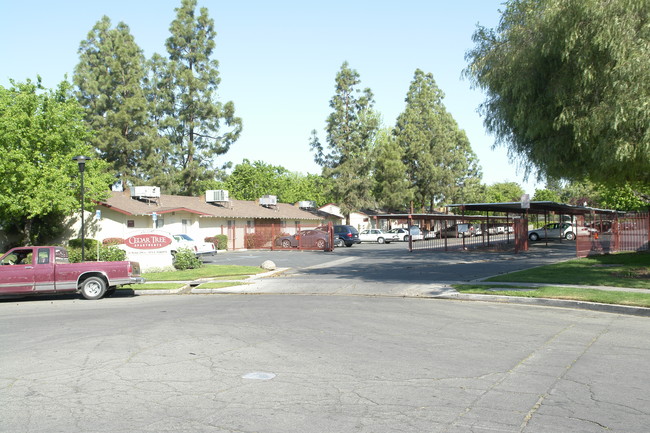 Cedar Tree Apartments