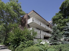 Sir Richard Apartments in Denver, CO - Building Photo