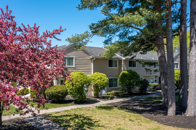 Chestnut Place Townhomes in Foxboro, MA - Building Photo - Building Photo