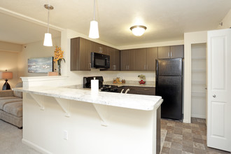 Andover Pointe Apartment Homes in Omaha, NE - Foto de edificio - Interior Photo