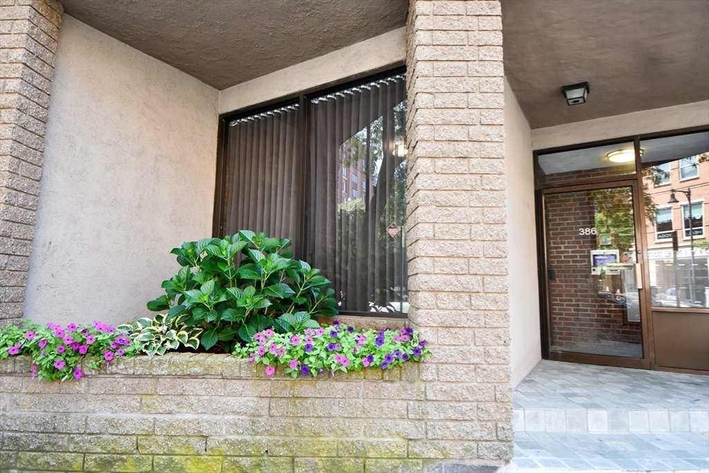 386 Commercial St, Unit 3D in Boston, MA - Foto de edificio
