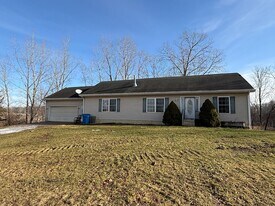 11491 Parr Rd in Manchester, MI - Building Photo