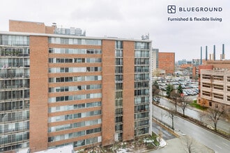 903 S Ashland Ave in Chicago, IL - Foto de edificio - Building Photo