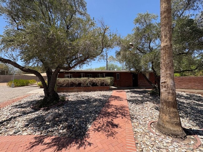 6901 E 4th St in Tucson, AZ - Building Photo - Building Photo