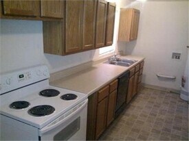 245-247 S Julian St in Denver, CO - Building Photo