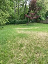 10 Phelps Ln in Deep River, CT - Building Photo - Building Photo