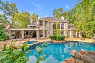 70 N Skyflower Ct in The Woodlands, TX - Building Photo