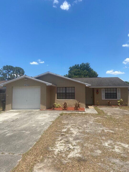 12703 Alida Pl in Tampa, FL - Building Photo