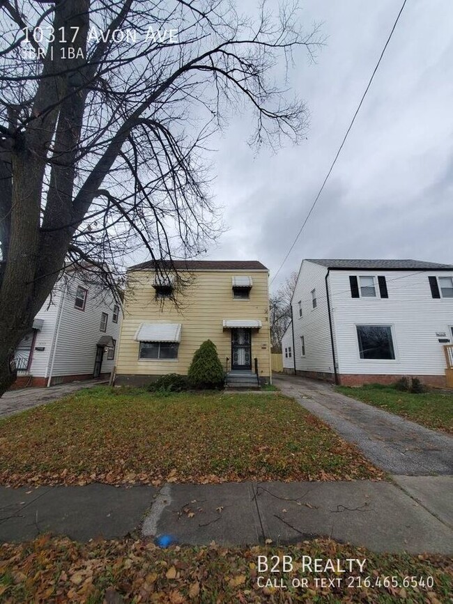 10317 Avon Ave in Cleveland, OH - Foto de edificio - Building Photo