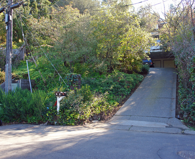 3 Roque Moraes Ct in Mill Valley, CA - Foto de edificio - Building Photo