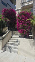 10833 Kling St, Unit Noho Condo in North Hollywood, CA - Foto de edificio - Building Photo