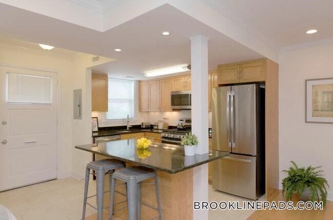 113 Thornton Rd in Brookline, MA - Building Photo