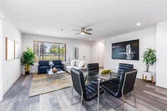 499 S Soho Ln in Chandler, AZ - Foto de edificio - Building Photo