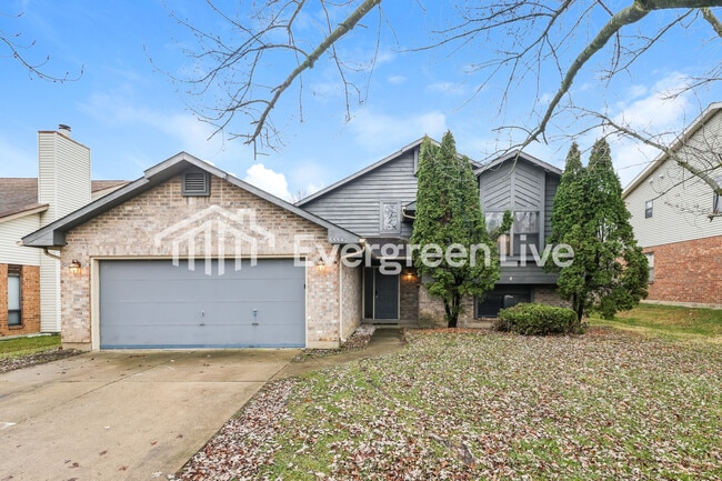 property at 6554 Shull Rd
